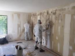 Best Biohazard Mold Removal in Farmington, IL